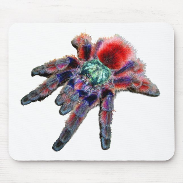 Tarantula spider, arachnid, big blue/red spider mouse pad (Front)