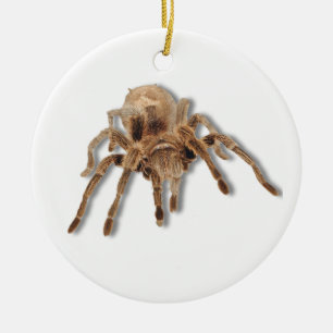 Tarantula spider ceramic tree decoration