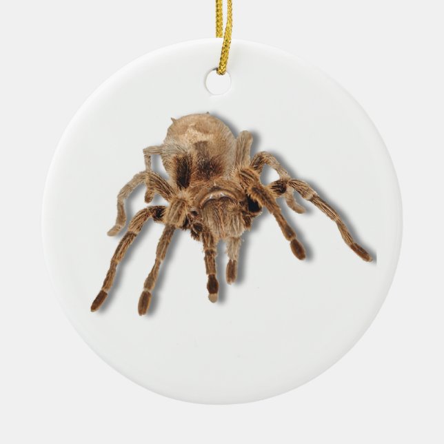 Tarantula spider ceramic tree decoration (Front)