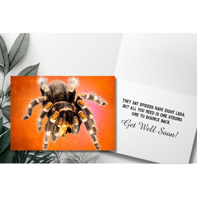 Tarantula Spider Get Well Card (Creator Uploaded)