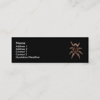 Tarantula Spider Mini Business Card