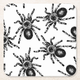 Tarantula Square Paper Coaster
