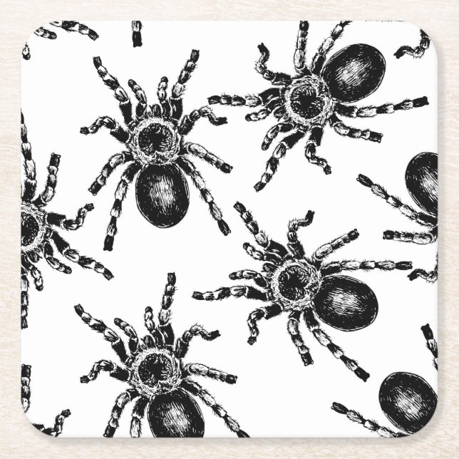 Tarantula Square Paper Coaster (Front)
