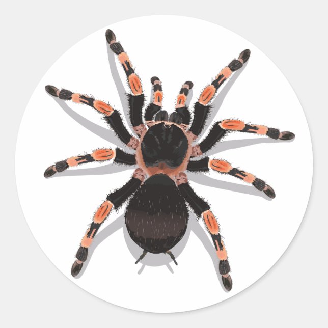 Tarantula Sticker (Front)