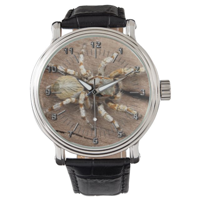 Tarantula Watch (Front)