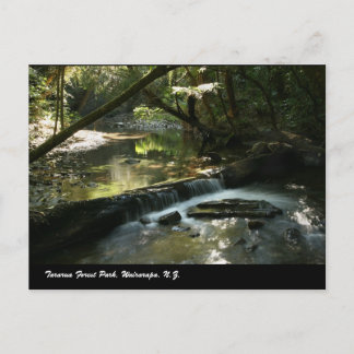 Tararua Forest Park, Wairarapa, N.Z. Postcard