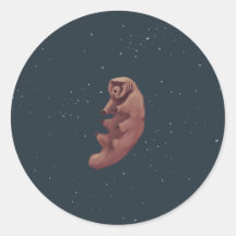 Tardigrade in space