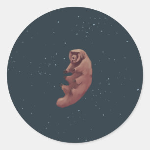 Tardigrade in space classic round sticker