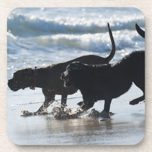 tarifa cadiz andalusia spain coaster