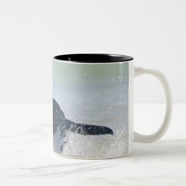 tarifa, cadiz, spain Two-Tone coffee mug (Right)