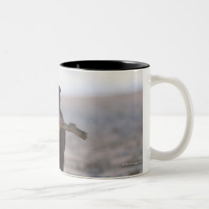 tarifa, cadiz, spain Two-Tone coffee mug