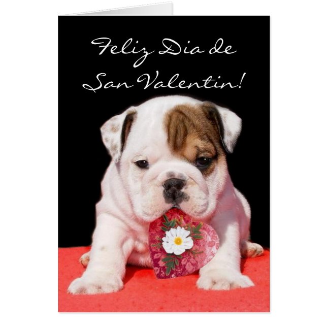 Tarjeta de San Valentin con cachorro bulldog (Front)