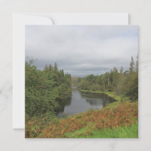 Tarn Hows - Lake District Flat Greeting Card