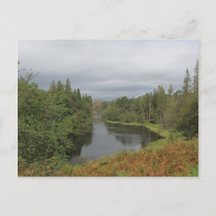 Tarn Hows - Lake District Postcard