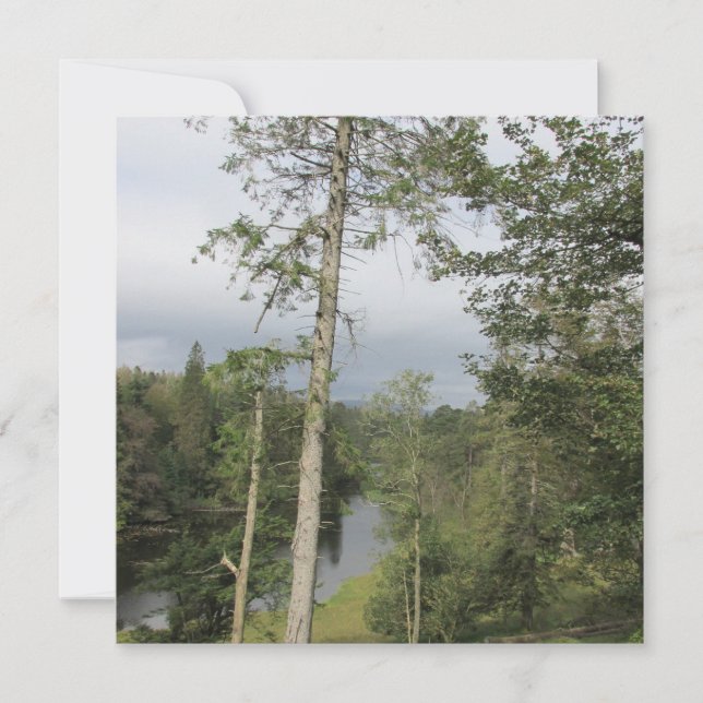 Tarn Hows Trees Flat Greeting Card (Front)