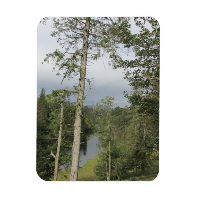 Tarn Hows Trees Flexible Photo Magnet (Vertical)