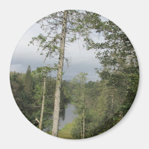 Tarn Hows Trees Magnet