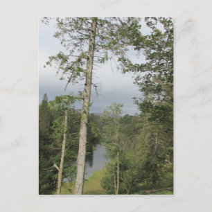 Tarn Hows Trees Postcard