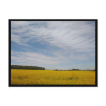 Tarnowskie Góry (Poland)