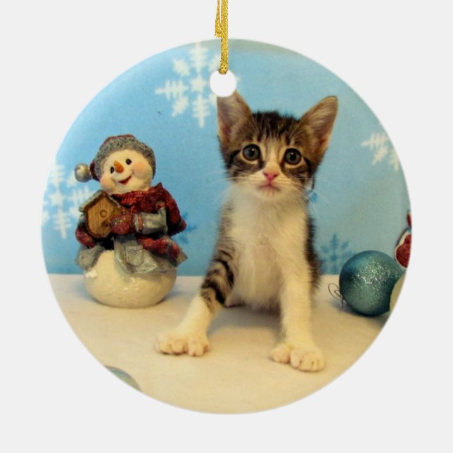 Taromina's Christmas Ornament (Cat / Kitten) (Back)