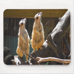 Taronga Western Plains Zoo Dubbo - Meerkat Mouse Pad