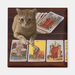 Tarot Cat Magnet