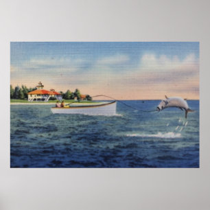 Tarpon Fishing Poster
