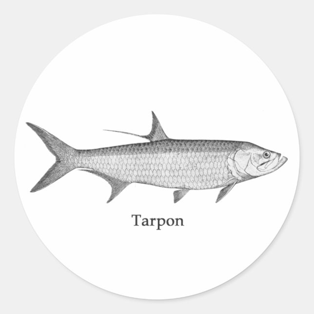 Tarpon  Logo  (line art) Classic Round Sticker (Front)