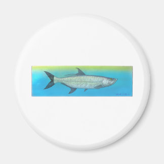 Tarpon Magnet