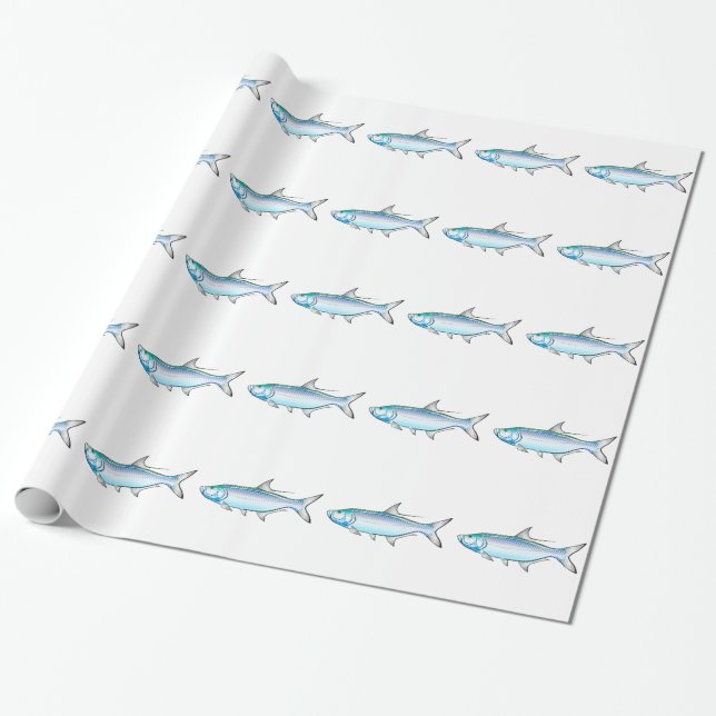 Tarpon Ocean Gamefish illustration vector Wrapping Paper (Unrolled)