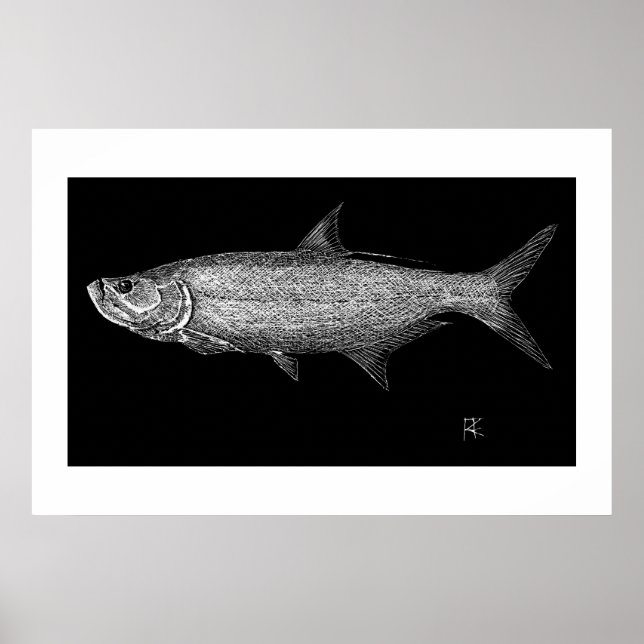 Tarpon Scratch art Poster (Front)