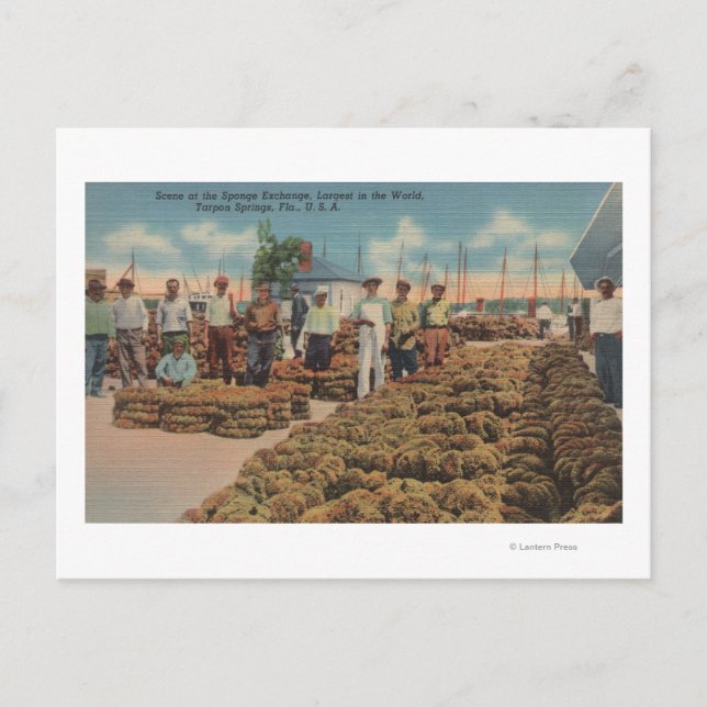 Tarpon Springs, FL - Scene of Sponge Exchange Postcard (Front)