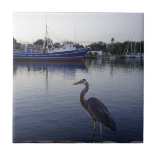 Tarpon Springs Tile