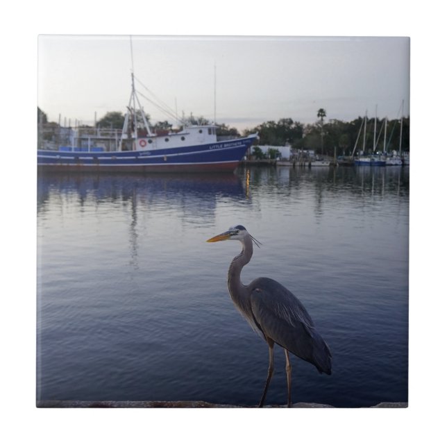 Tarpon Springs Tile (Front)
