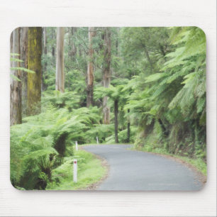 Tarra Bulga National Park, Strzelecki Ranges Mouse Pad