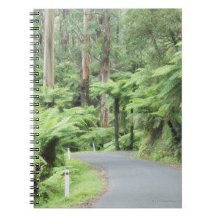 Tarra Bulga National Park, Strzelecki Ranges Notebook