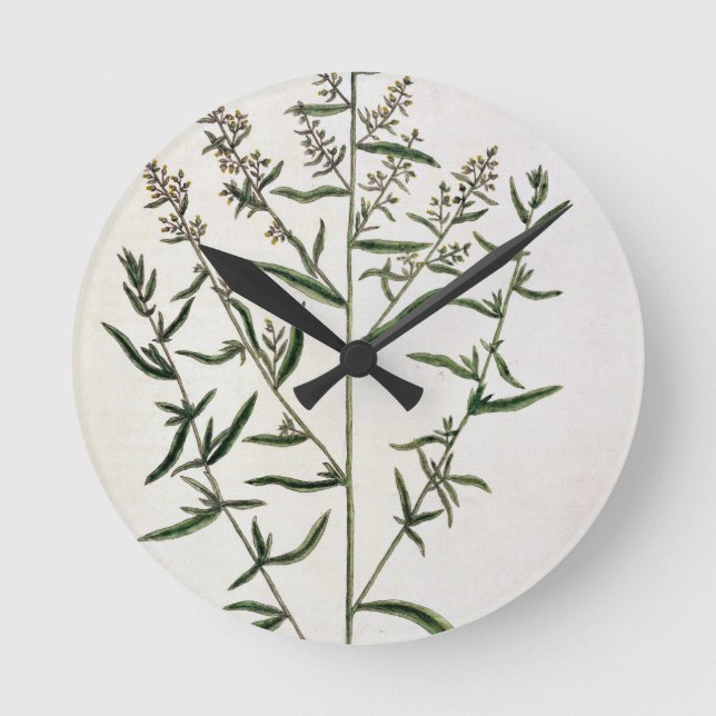 Tarragon, plate 116 from 'A Curious Herbal', publi Round Clock (Front)