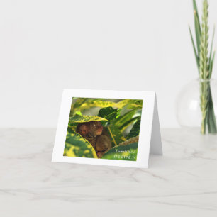 Tarsier in Bohol Note Card