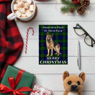 Tartan Christmas Card: German Shepherd Edition for