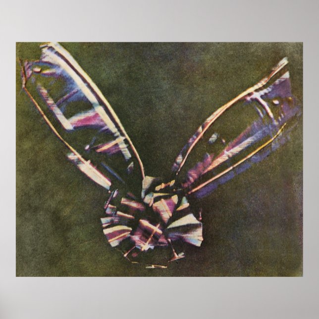 Tartan Ribbon First Known Colour Photograph Poster (Front)