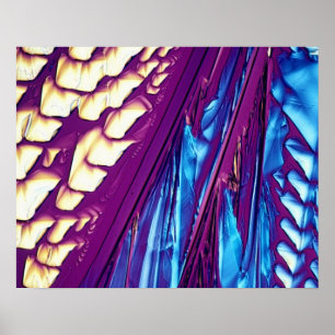 Tartaric Acid Crystals Poster