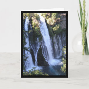Tarzan's Waterfall- Song of Sol. 2:3 Greeting Card
