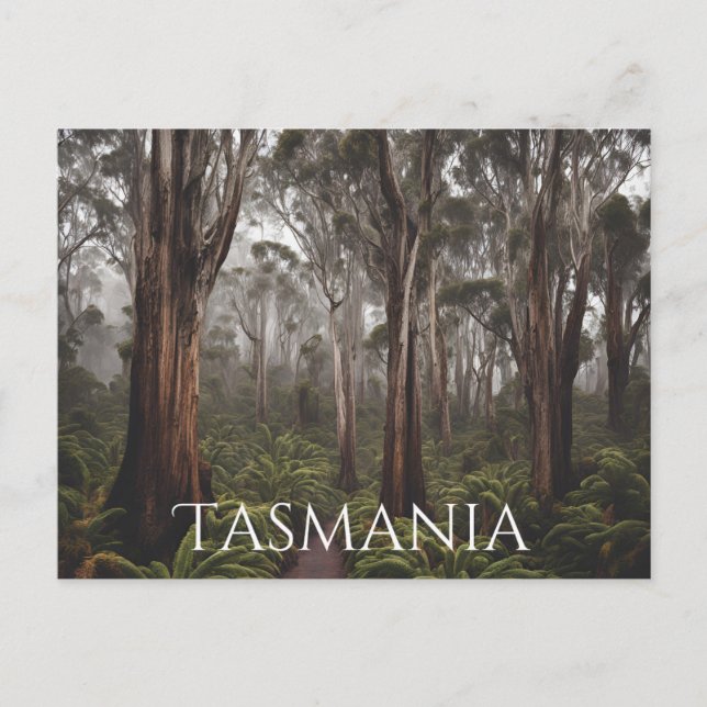 Tasmania (6) postcard (Front)