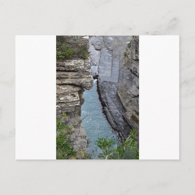 TASMANIA DEVILS KITCHEN AUSTRALIA POSTCARD (Front)