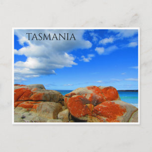 tasmania granite lichen postcard