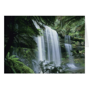 Tasmania, Mt. Field National Park, Russell Falls
