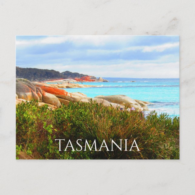 tasmanian binalong bay postcard (Front)