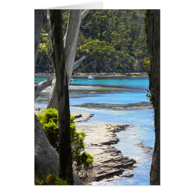 Tasmanian Coast (Front)