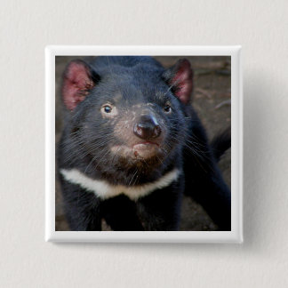 Tasmanian Devil 15 Cm Square Badge