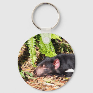 Tasmanian Devil Basking in the Sunlight Key Ring